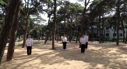 Présentation du Nei Yang Gong