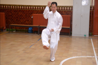 Demo Chen Dr Xiao 201503